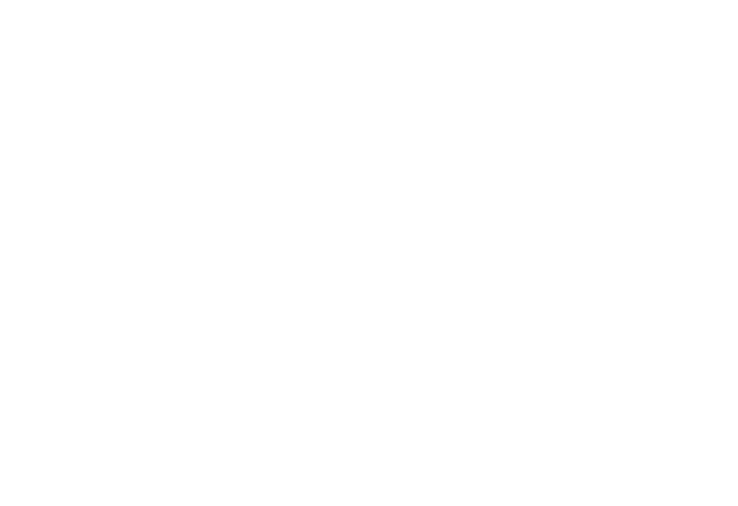 DeVisser Group Logo - white